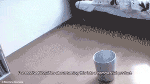 0.gif