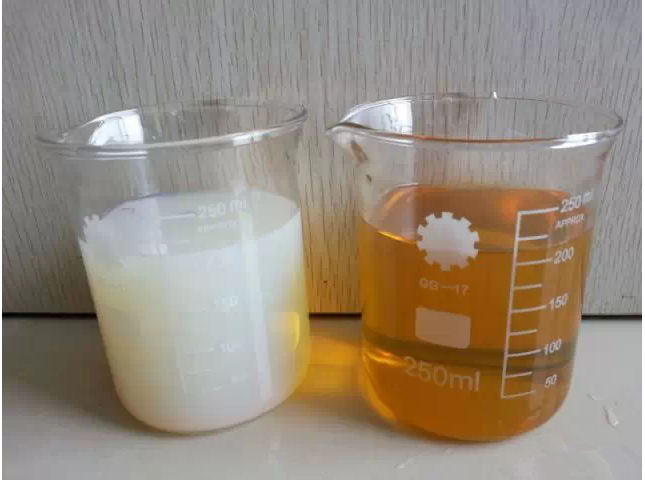 ӹпƱļַ