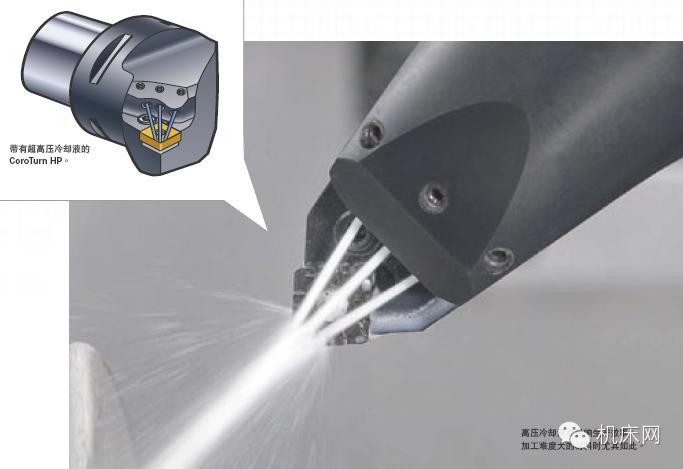 ӹпƱļַ