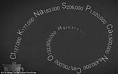 5196928883411817763.jpg