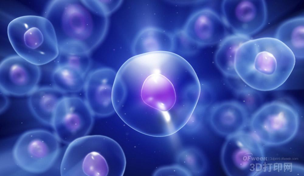 3dp_bioprintingcells_stem_cells-e1446966915717.jpg